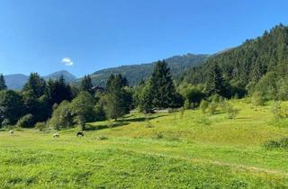 Grundstück zu kaufen in 8953 Donnersbachwald, Wohnen im Herzen der Alpen - Baugrundstück in malerischer Umgebung in Donnersbachwald.