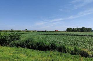 Grundstück zu kaufen in 9231 Köstenberg, Gewerbe-Grundstück direkt beim Autobahn-Anschluss. - Flexible Größen bis 60.400 m² - Großes Potential.