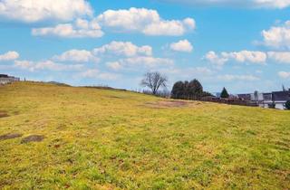 Grundstück zu kaufen in 8311 Markt Hartmannsdorf, Baugrund für bis zu ca. 350 m² Wohnfläche. - Wohnlage nahe Gleisdorf, 25 Min. vor Graz.