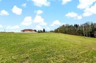 Grundstück zu kaufen in 7572 Deutsch Kaltenbrunn, Großer Wohn-Baugrund in erhöhter Lage. - Freiland-Anteil mit Potential zur Widmung. - Vielfältige Möglichkeiten.