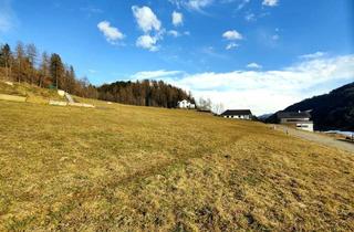 Grundstück zu kaufen in 8843 Sankt Peter am Kammersberg, Leistbarer Wohn-Baugrund mit Fernblick. - Ruhige Lage nahe dem Zentrum. - Infrastruktur fußläufig erreichbar.