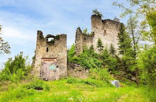 Immobilie kaufen in 8713 Sankt Stefan ob Leoben, Historische Burgruine mit über 7 Hektar Wald - Einzigartige Liegenschaft mit Potenzial