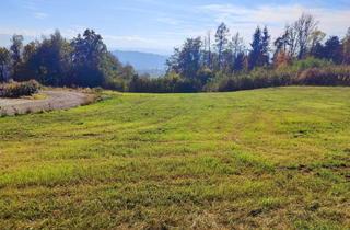 Grundstück zu kaufen in Großbuch, 9061 Klagenfurt, Neuer Preis! - Wohn-Baugrund in erhöhter Lage in Großbuch. - 10 Minuten nach Klagenfurt. - Traumhafte Lage für ihr Haus.