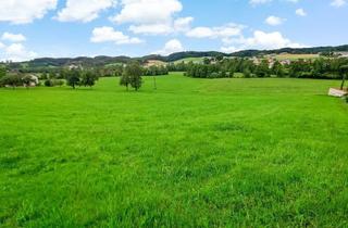 Grundstück zu kaufen in 5251 Höhnhart, Naturnahes Wohnbau-Grundstück zwischen Mattighofen und Ried. - Ihr Platz für ein Traumhaus.
