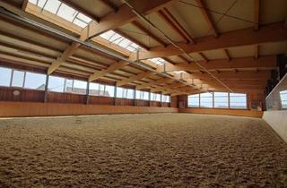 Gewerbeimmobilie kaufen in 8323 Lambach, Reitanlage Für Hobby und Beruf mit Sportanlagenwidmung.