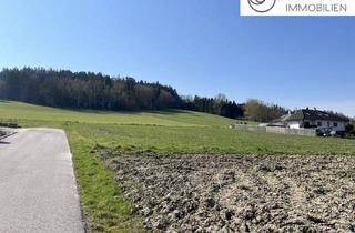 Grundstück zu kaufen in 4632 Pichl bei Wels, 15 Minuten in Wels - Sonniges Baugrundstück in Kematen am Innbach!