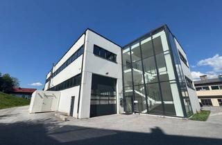Büro zu mieten in 5400 Hallein, ERSTBEZUG | 404 m2 Büro- Ausstellungs- Fitnessflächen | in Hallein - Salzburg Süd
