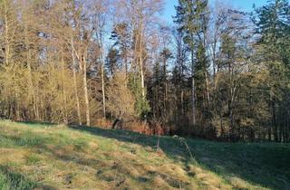 Grundstück zu kaufen in 8505 Sankt Nikolai im Sausal, Liegenschaft mit Hofstelle - St. Nikolai im Sausal