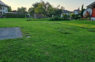 Grundstück zu kaufen in 6974 Gaißau, Herrliches Grundstück für Ihr neues Zuhause!