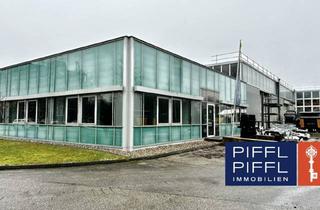 Lager mieten in 4053 Haid, Top-Industrie-Location in Ansfelden - 4.078m² Büro- und Hallenobjekt mit Kran