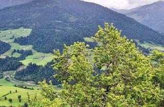 Immobilie kaufen in Hohe Salve, 6363 Westendorf, Idyllischer Berg-Bauernhof in Westendorf, mit Freizeitwohnsitz Bewilligung!