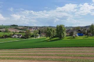 Grundstück zu kaufen in 4209 Engerwitzdorf, 1.004 m² Bau- und 1.985 m² Grünland in Engerwitzdorf/Edtsdorf ohne Bauzwang