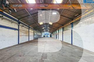 Lager mieten in Am Ottstorfer Berg 50/Halle B, 4600 Thalheim bei Wels, 550m² Lagerhalle beheizt inkl. Büro