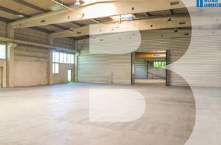 Lager mieten in Hobelweg 15/Halle 1+ 2, 4055 Pucking, 3.250m² Halle mit erstklassiger Verkehrsanbindung