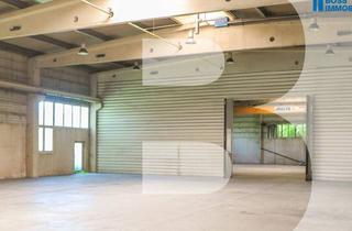 Lager mieten in Hobelweg 15/Halle 2A, 4055 Pucking, 1.170m² Halle mit erstklassiger Verkehrsanbindung