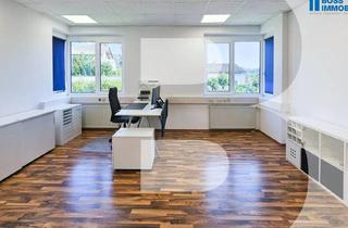 Büro zu mieten in Am Ottstorfer Berg 50/B 4, 4600 Thalheim bei Wels, Start-Up geeignet - perfekte Bürofläche
