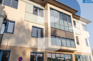 Büro zu mieten in Am Ottstorfer Berg 50/B3. 1, 4600 Thalheim bei Wels, Start-Up geeignet - perfekte Bürofläche