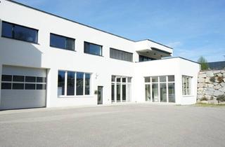 Büro zu mieten in 4240 Freistadt, Moderne Halle + Büro Nähe Freistadt zu mieten II neuwertig II sehr gute Ausstattung II Nähe zur S 10
