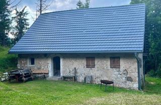 Haus kaufen in 9163 Unterbergen, Interessante Berghütte mit Grünblick in Kärnten