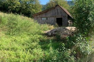 Grundstück zu kaufen in Hochosterwitz, 9300 Sankt Veit an der Glan, 2,7 Ha Land- und Forstw. -Grundstück für nur € 9,22 pro Qm, zzt Pferde Weide mit Stall & Quelle, in traumhafter Lage in Kärnten - für 249.000,00 € zu haben!