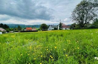 Grundstück zu kaufen in Ferlach, 9162 Strau, Ruhiges Landleben - Waldrand - Nähe Ferlach und Klagenfurt!