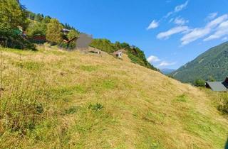 Grundstück zu kaufen in 9564 Patergassen, 3000 m² Baugrundstück Für Hobby Landwirte und Häuselbauer mit Blick auf Berge und in die Ferne.