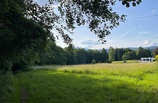 Grundstück zu kaufen in 9220 Velden am Wörther See, Großzügiges ruhiges Grundstück in See- und Zentrumsnähe!