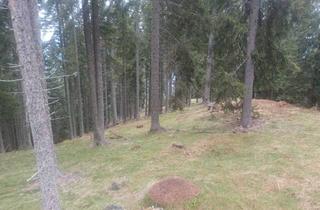 Grundstück zu kaufen in 9542 Verditz, Waldgrundstück zu verkaufen!