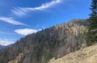 Immobilie kaufen in 6215 Steinberg am Rofan, Erschlossenes Waldgrundstück mit Holzablegeplatz in Steinberg am Rofan zu verkaufen