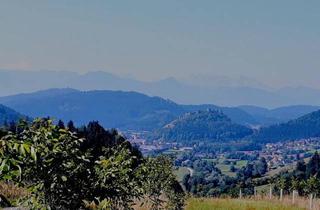 Grundstück zu kaufen in 9112 Griffen, K3 - Landwirtschaftliche Grundflächen 3, 6 ha, einmalige Sonnenlage mit Fernblick, einer Walnussplantage, sowie weiteren Nutzungsmöglichkeiten.