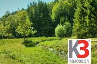 Immobilie kaufen in 9100 Völkermarkt, K3! HOFSTELLE mit rund 5000 m2 Grund und eigener Quelle, kernsaniertes Wirtschaftsgebäude zum weiteren Ausbau, idyllische Lage.