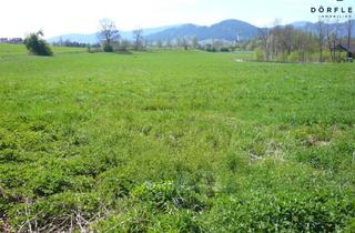 Immobilie kaufen in Feldkirchen, 9560 Feldkirchen in Kärnten, Ackerfläche nähe Feldkirchen/Stadt