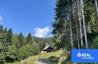 Almhütte zu kaufen in 9335 Lölling Sonnseite, Ihr Rückzugsort in den Bergen "Almhaus Sonnblick" in Alleinlage Nähe Schi- und Erholungsgebiet Klippitztörl