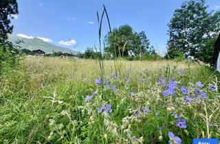 Grundstück zu kaufen in 9903 Oberlienz, Erfüllen Sie sich Ihren Wohntraum