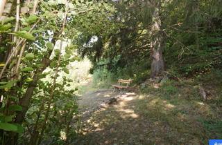 Grundstück zu kaufen in 9821 Obervellach, 15.000 m² Natur & Ruhe.