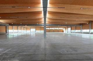 Lager kaufen in 5082 Grödig, Neue großflächige Gewerbeliegenschaft am südlichen Stadtrand - Baurecht