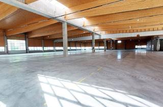 Lager kaufen in 5082 Grödig, Neubau im Großformat :Unternehmens- Standort im Salzburger Süden - Baurecht