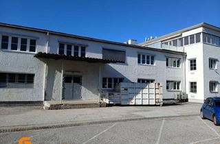 Lager mieten in 5020 Salzburg, Miete bis Frühjahr 2026: günstige Lager+ Büroflächen in BO Nähe Messezentrum Sbg.