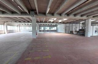 Lager mieten in 5020 Salzburg, Lagerhalle mit Bürooption in verkehrsgünstiger Lage in Salzburg mieten