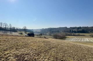 Grundstück zu kaufen in Therme Loipersdorf, 8380 Henndorf im Burgenland, Tourismusregion Loipersdorf | Sonnenhang in absoluter Ruhelage!