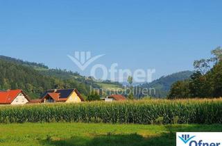 Grundstück zu kaufen in 8572 Bärnbach, Gut bearbeitbares Ackergrundstück in Bärnbach