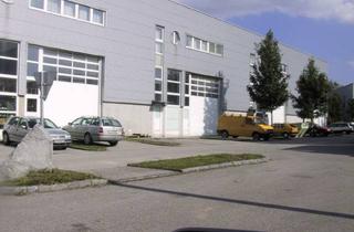 Büro zu mieten in Franzosenhausweg 51, 4030 Linz, DIREKT VOM EIGENTÜMER - Bürofläche Franzosenhausweg