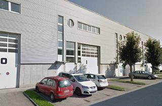 Lager mieten in Franzosenhausweg 51, 4030 Linz, Halle und Büro Linz Süd- Franzosenhausweg - DIREKT VOM EIGENTÜMER!