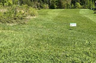 Grundstück zu kaufen in 9581 Ledenitzen, Viel Freiraum in Waldrandlage