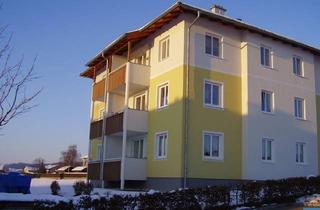 Wohnung mieten in Lindenstraße 6/3, 4761 Enzenkirchen, Objekt 786: 3-Zimmerwohnung in Enzenkirchen, Lindenstraße 6, Top 3
