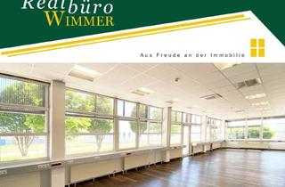 Büro zu mieten in Freilinger Straße, 4614 Marchtrenk, Bürogebäude in Top Lage - gesamt oder auch in Teilflächen ab 120 m² mietbar