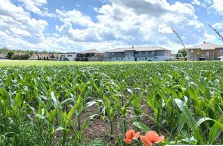 Grundstück zu kaufen in Dieselstraße, 4623 Gunskirchen, Top Betriebsbaugrundstück mit Widmung MB