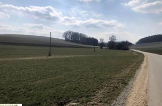 Immobilie kaufen in Renetsham, 4941 Mehrnbach, landwirtschaftliche Nutzfläche, Ackerfläche in Renetsham nahe Ried im Innkreis zu verkaufen