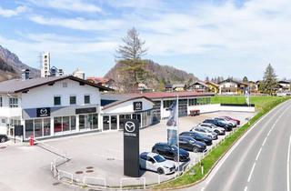 Lager mieten in Emco, 5400 Hallein, Multifunktionale Gewerbeflächen "Automotive" - Salzburg Süd | Hallein-Taxach