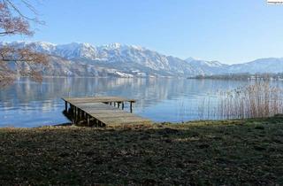 Villen zu kaufen in 4864 Attersee, Suche für meine Kunden eine Villa am Attersee, Mondsee oder Wolfgangsee